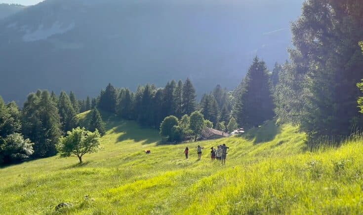 Camminata nel prato al mattino