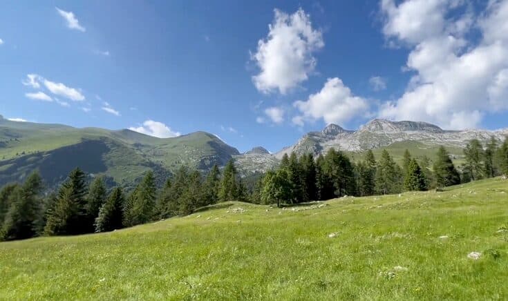 Prato di montagna sotto il cielo estivo